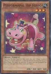 Performapal Hip Hippo · Shatterfoil 015sh