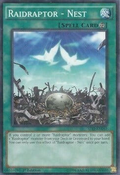 Raidraptor - Nest Card Front
