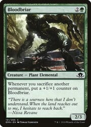 Bloodbriar 151