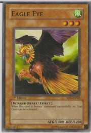 Eagle Eye · Common 022