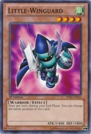Little-Winguard · Common 020