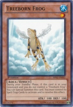 Rana degli Alberi Card Front