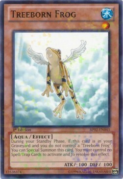 Rana degli Alberi Card Front
