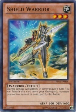 Shield Warrior Card Front
