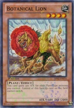 Botanical Lion Card Front