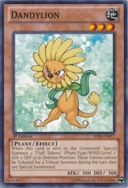 Dandylion Card Front