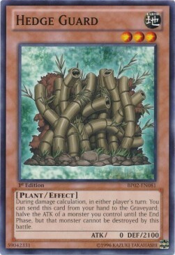 Hedge Guard Card Front