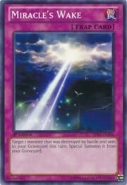Miracle's Wake · Common 206