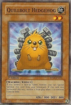Quillbolt Hedgehog Card Front
