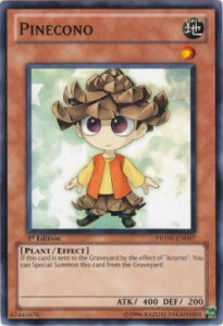 Pignetto Card Front