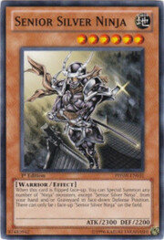 Senior Silver Ninja · Common 031