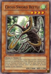 Cross-Sword Beetle · Common 035