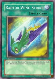 Raptor Wing Strike · Common 048