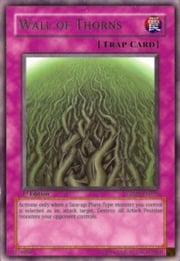 Wall of Thorns · Rare 079