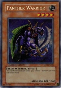 Panther Warrior Card Front
