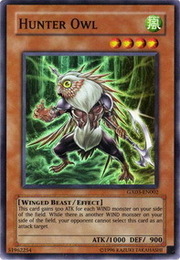 Hunter Owl · Super Rare 002