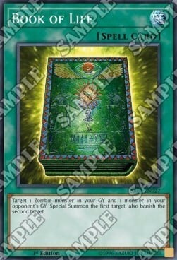 Book of Life Card Front