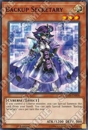 Backup Secretary · Common 008