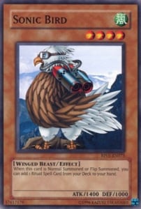 Sonic Bird Card Front