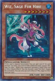 Wiz, Sage Fur Hire · Secret Rare 022sec