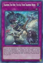 Training Fur Hire, Fur All Your Training Needs · Secret Rare 026sec