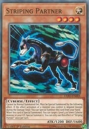 Striping Partner · Common 003