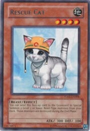 Rescue Cat · Rare 008