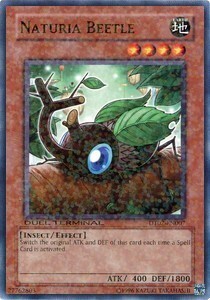 Naturia Beetle Card Front