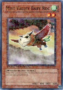 Mist Valley Baby Roc Card Front