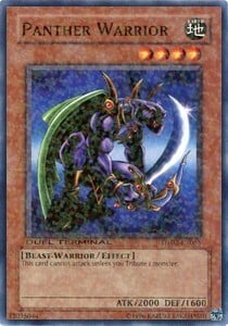 Panther Warrior Card Front