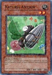 Naturia Antjaw · Common 069