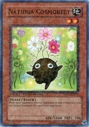 Naturia Cosmobeet · Common 072