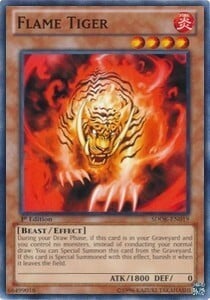 Tigre di Fuoco Card Front