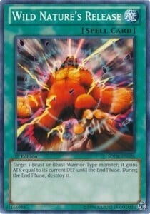 Wild Nature's Release Card Front