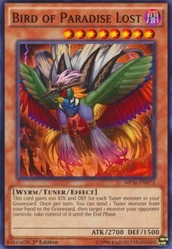 Bird of Paradise Lost Card Front