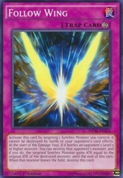 Follow Wing · Common 224