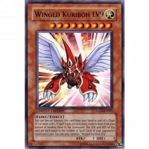 Winged Kuriboh LV9 Card Front