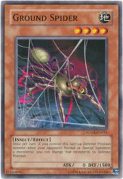 Ground Spider · Common 016