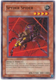 Spyder Spider · Common 018