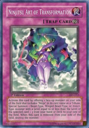 Ninjitsu Art of Transformation · Common 052