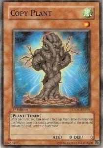 Copy Plant Card Front