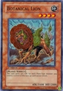 Botanical Lion Card Front