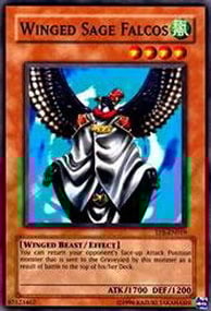 Winged Sage Falcos Card Front