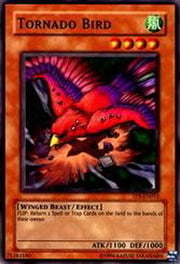 Tornado Bird · Common 012