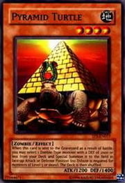 Pyramid Turtle · Common 017