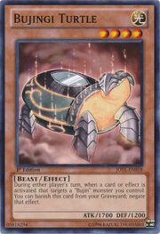 Bujingi Turtle · Common 018