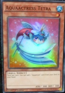 yugioh aquaactress cards Yu-Gi-Oh Deck Profile for March 2024 Mint / near mint condition trading card Aqua Actress (Fan Deck) Deck
