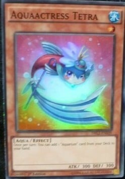 Aquaactress Tetra Card Front