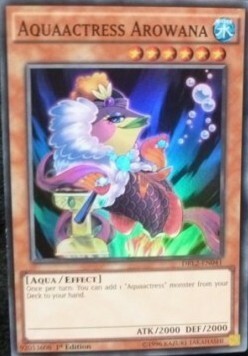 Acquattrice Arowana Card Front