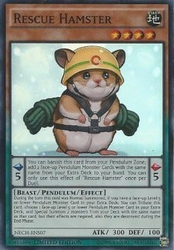 Rescue Hamster Card Front